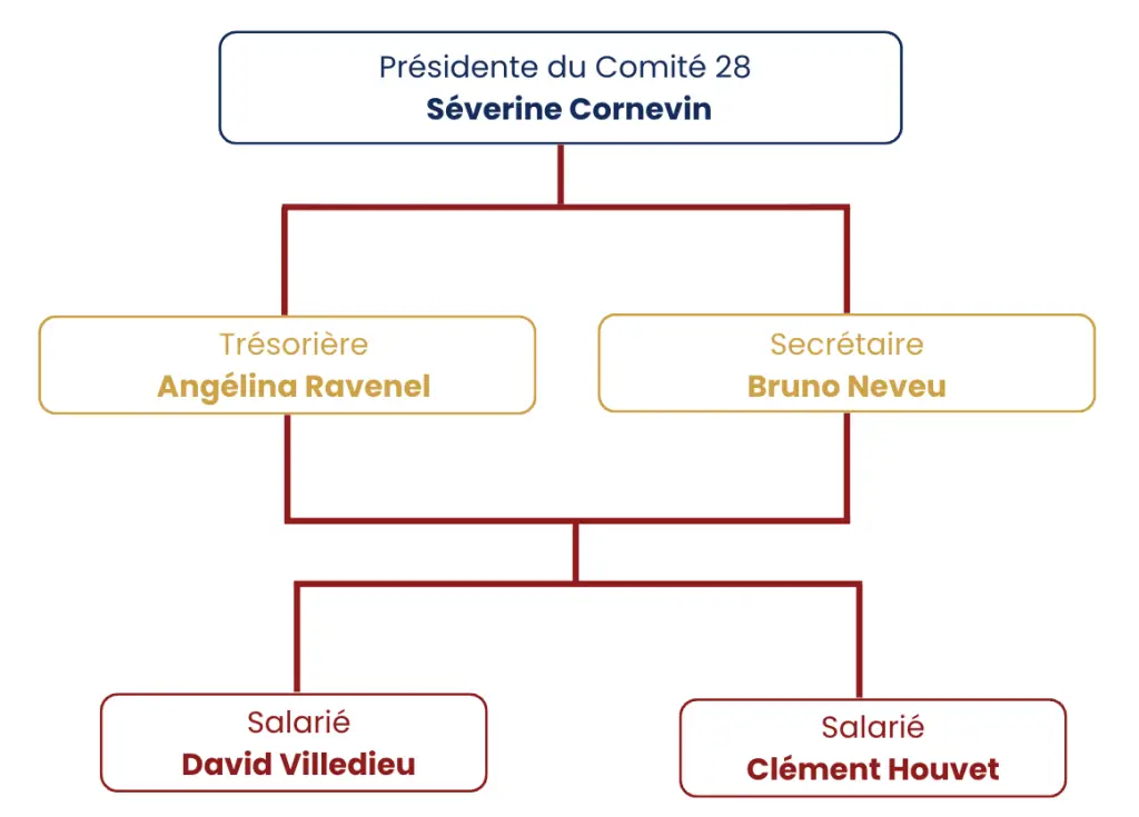Organigramme Comité